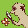 Here's an alt tag for the image: `Meerkat examining butterfly with magnifying glass`