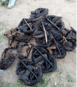 Dried carcasses of various ungulates and primates in a bushmeat trade market