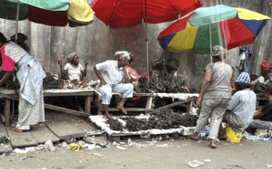 Congolese bushmeat market