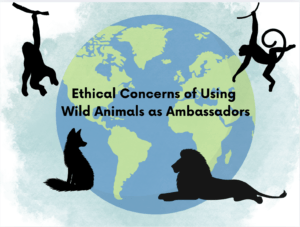 Ethical concerns of using wild animal ambassadors.